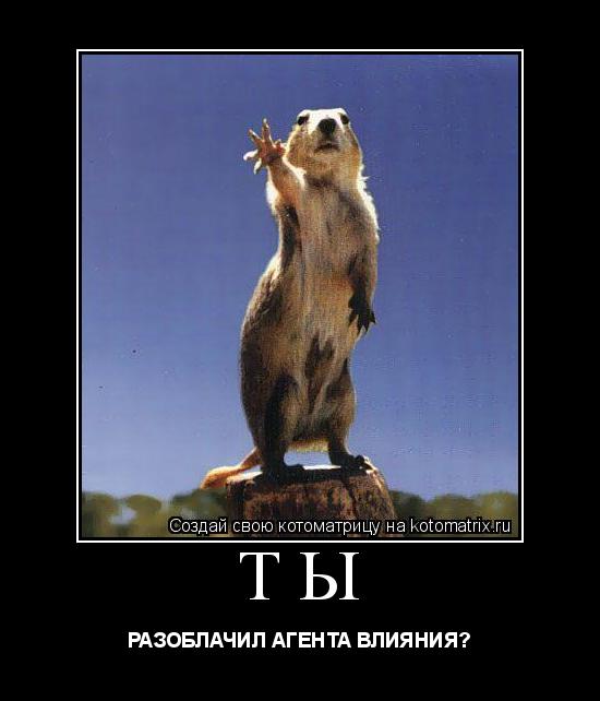 Котоматрица: ТЫ РАЗОБЛАЧИЛ АГЕНТА ВЛИЯНИЯ?