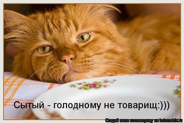 Котоматрица: Сытый - голодному не товарищ:)))