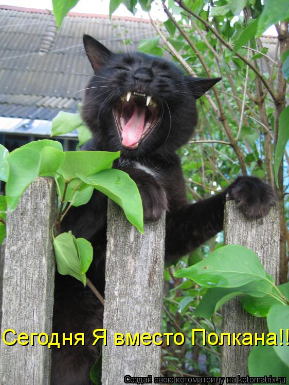 Котоматрица: Сегодня Я вместо Полкана!!!