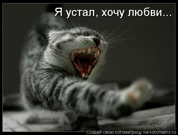 Котоматрица: Я устал, хочу любви...