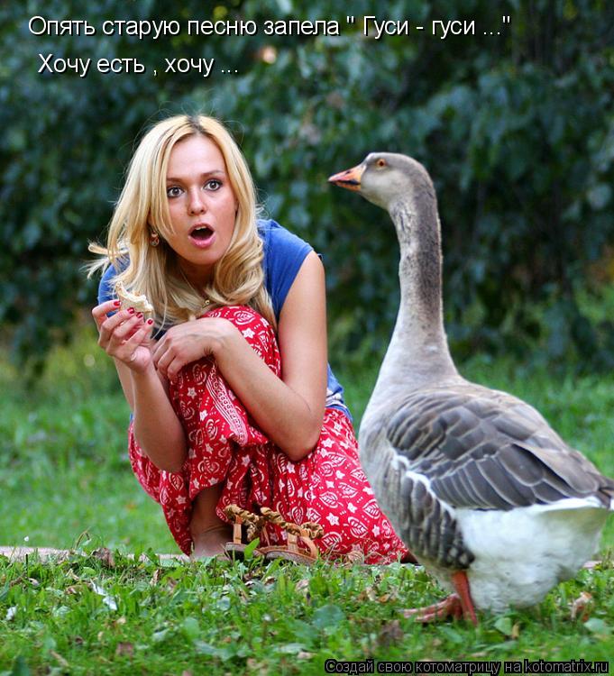 Котоматрица: Опять старую песню запела " Гуси - гуси ..."   Хочу есть , хочу ...