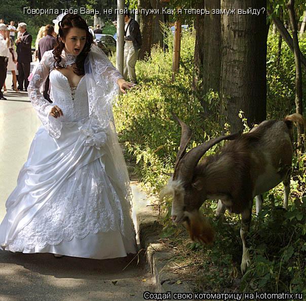Котоматрица: Говорила тебе Вань, не пей из лужи.Как я теперь замуж выйду?