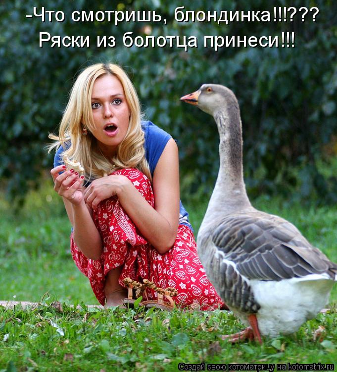 Котоматрица: -Что смотришь, блондинка!!!??? Ряски из болотца принеси!!!
