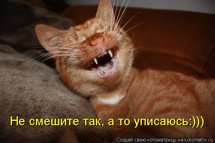Котоматрица: Не смешите так, а то уписаюсь:)))