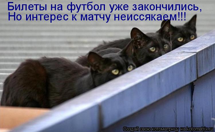 Котоматрица: Билеты на футбол уже закончились, Но интерес к матчу неиссякаем!!!