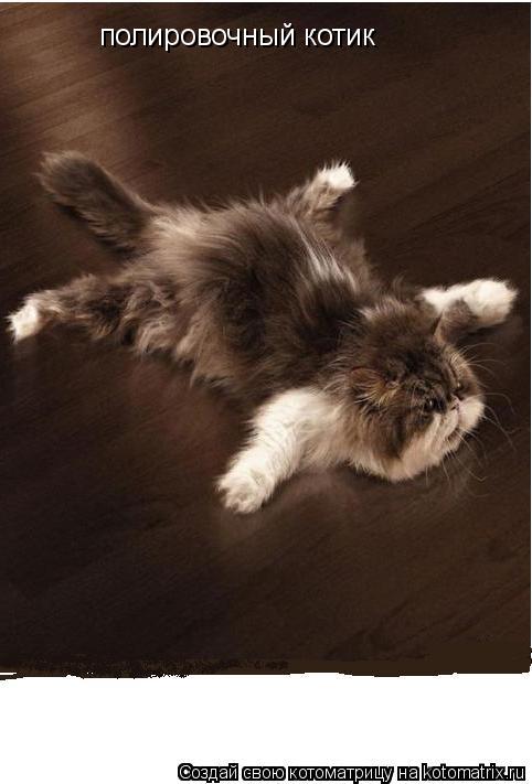 Котоматрица: полировочный котик