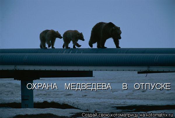 Котоматрица: ОХРАНА   МЕДВЕДЕВА     В   ОТПУСКЕ