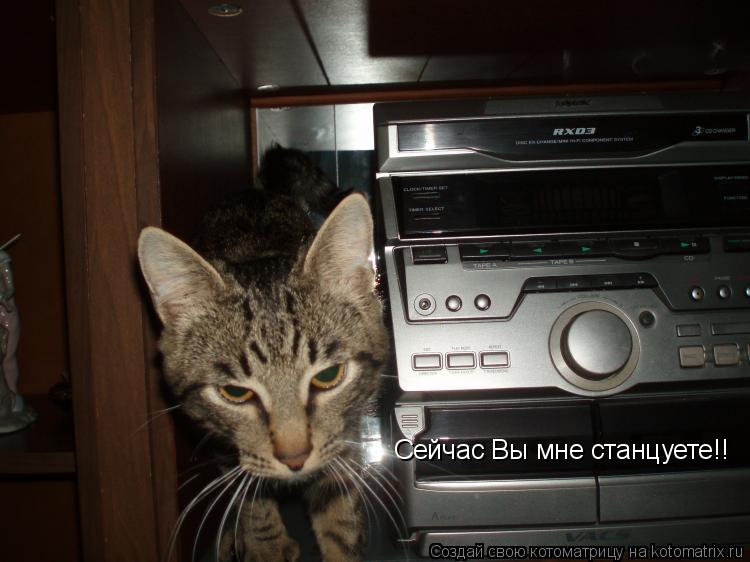 Котоматрица: Сейчас Вы мне станцуете!!