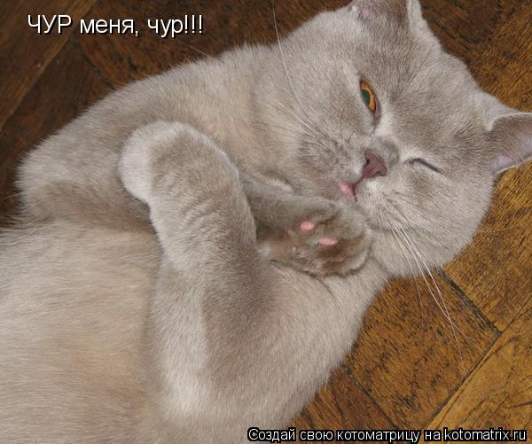 Котоматрица: ЧУР меня, чур!!!