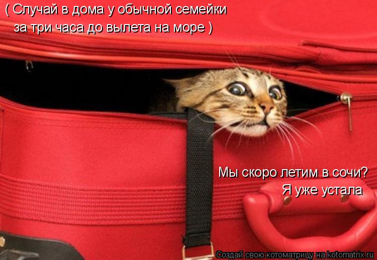 Котоматрица: ( Случай в дома у обычной семейки  за три часа до вылета на море ) Мы скоро летим в сочи? Я уже устала