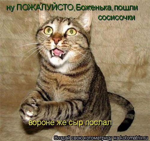 Котоматрица: ну ПОЖАЛУЙСТО,Боженька,пошли  сосисочки вороне же сыр послал