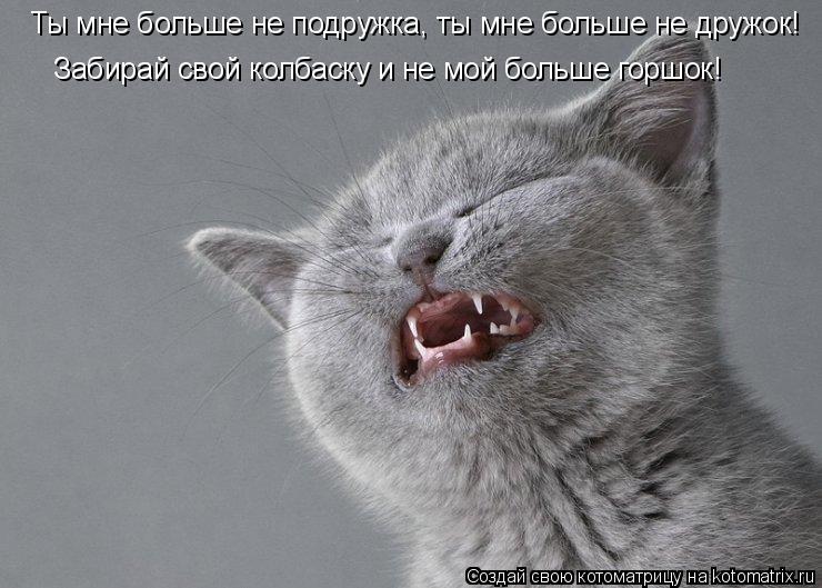 Котоматрица: Ты мне больше не подружка, ты мне больше не дружок! Ты мне больше не подружка, ты мне больше не дружок! Забирай свой колбаску и не мой больше г