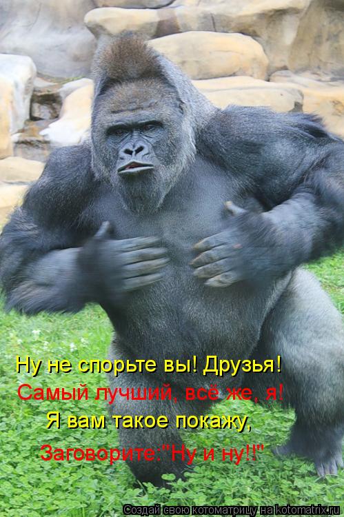 Котоматрица: Ну не спорьте вы! Друзья! Самый лучший, всё же, я! Я вам такое покажу, Заговорите:"Ну и ну!!"