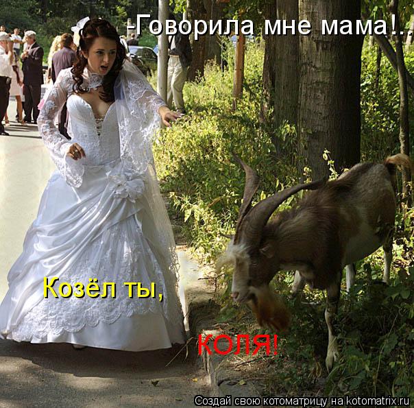 Котоматрица: -Говорила мне мама! Козёл ты, КОЛЯ! ...