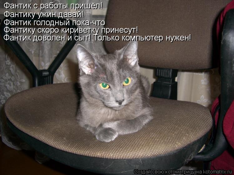 Котоматрица: Фантик с работы пришёл! Фантику ужин давай! Фантик голодный пока-что Фантику скоро кириветку принесут! Фантик доволен и сыт! Только компьют