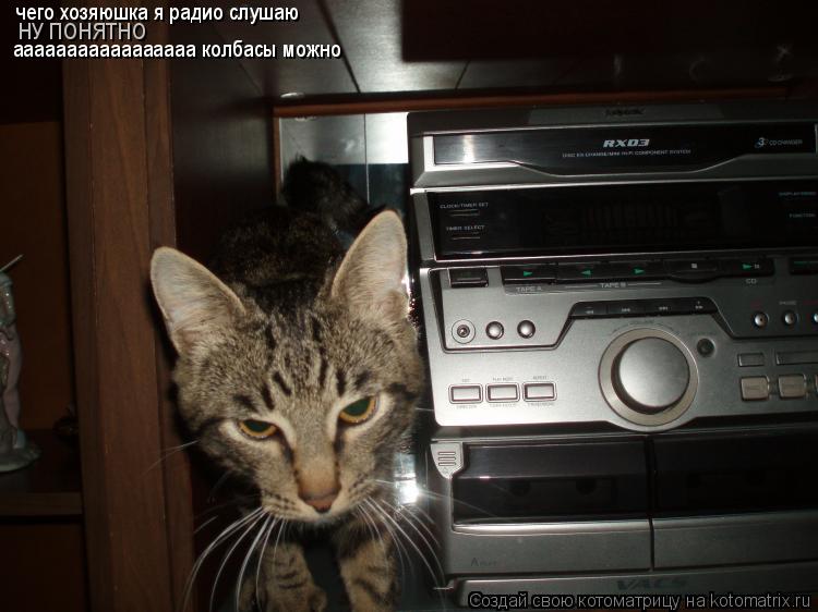 Котоматрица: чего хозяюшка я радио слушаю  ааааааааааааааааа колбасы можно НУ ПОНЯТНО
