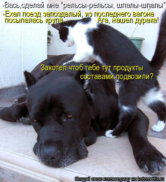 Котоматрица: посыпалась крупа...               Ага, нашел дурака! -Вась,сделай мне "рельсы-рельсы, шпалы-шпалы"... -Ехал поезд запоздалый, из последнего вагона Зах