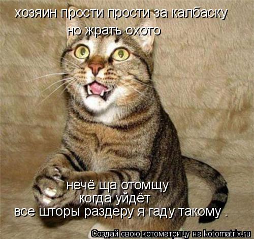 Котоматрица: хозяин прости прости за калбаску  но жрать охото нечё ща отомщу когда уйдёт все шторы раздеру я гаду такому .