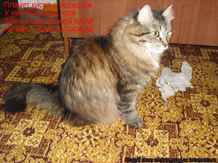 Котоматрица: Плачет киска в коридоре  У нее большое горе Злые люди бедной киске Не дают украсть сосиски.