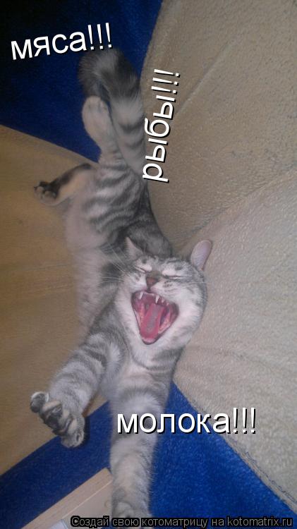 Котоматрица: мяса!!! рыбы!!! молока!!! молока!!! молока!!!