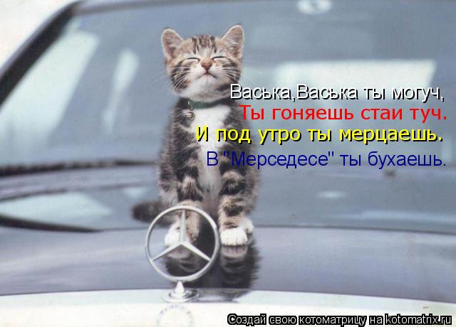 Котоматрица: Ты гоняешь стаи туч. Васька,Васька ты могуч, И под утро ты мерцаешь. В "Мерседесе" ты бухаешь.