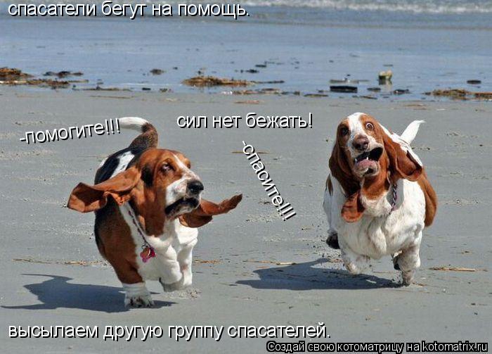 Котоматрица: спасатели бегут на помощь. -помогите!!!   -спасите!!! сил нет бежать! высылаем другую группу спасателей.