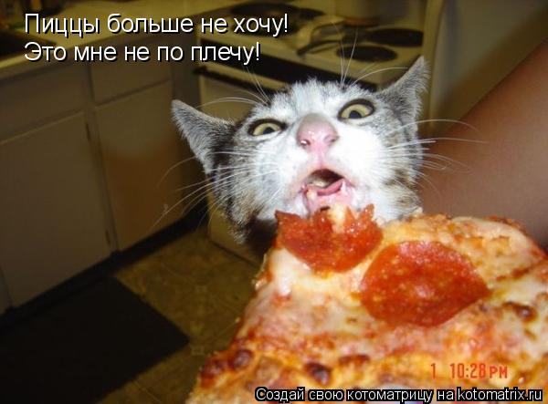 Котоматрица: Пиццы больше не хочу! Это мне не по плечу!