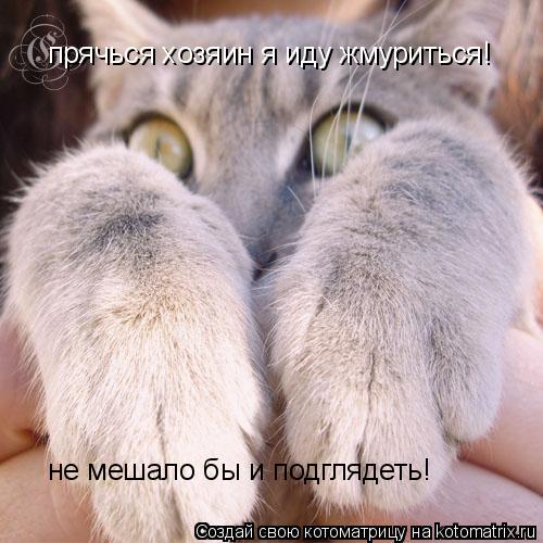 Котоматрица: прячься хозяин я иду жмуриться! не мешало бы и подглядеть!
