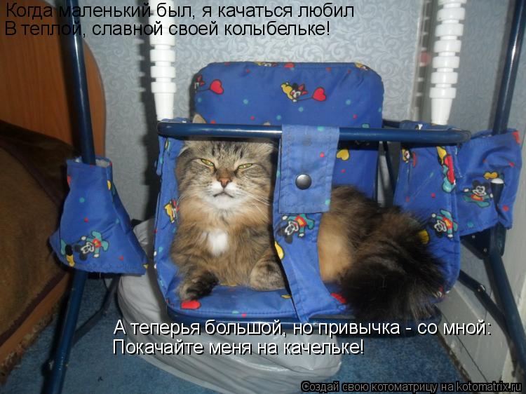Котоматрица: Когда маленький был, я качаться любил В теплой, славной своей колыбельке! А теперья большой, но привычка - со мной: Покачайте меня на качельк