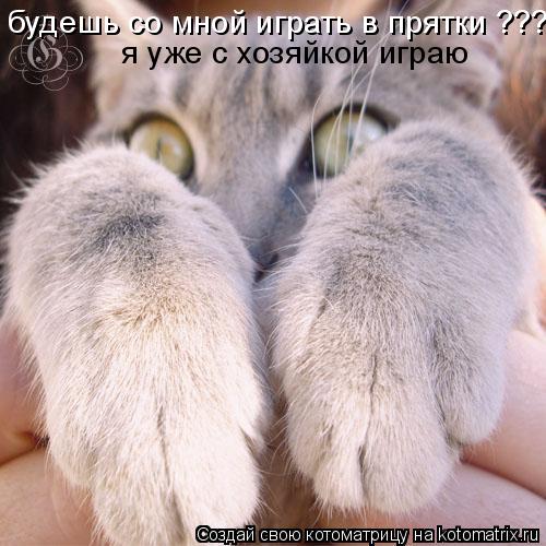 Котоматрица: будешь со мной играть в прятки ??? я уже с хозяйкой играю