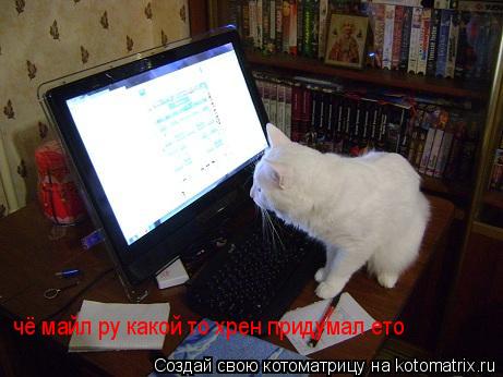 Котоматрица: чё майл ру какой то хрен придумал ето