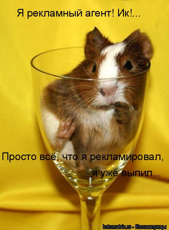 Котоматрица: Я рекламный агент! Ик!... Просто всё, что я рекламировал,  я уже выпил...