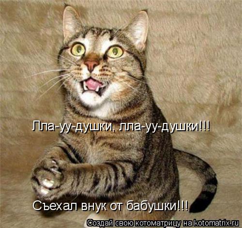 Котоматрица: Съехал внук от бабушки!!! Лла-уу-душки, лла-уу-душки!!!