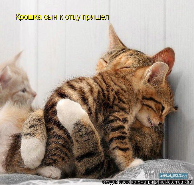 Котоматрица: Крошка сын к отцу пришел