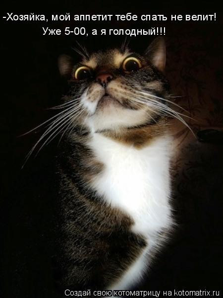 Котоматрица: -Хозяйка, мой аппетит тебе спать не велит!  Уже 5-00, а я голодный!!!