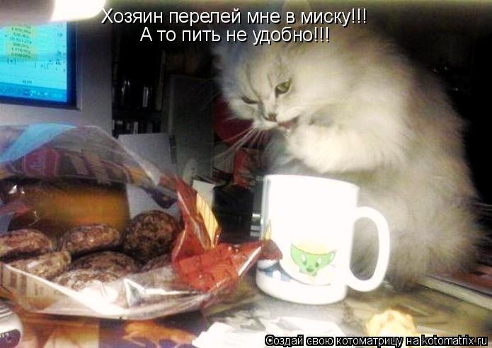 Котоматрица: Хозяин перелей мне в миску!!! А то пить не удобно!!!