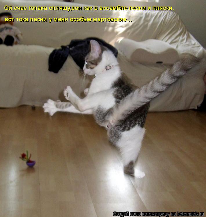 Котоматрица: Ой,счас гопака спляшу,вон как в ансамбле песни и пляски, вот тока песни у меня особые,мартовские...