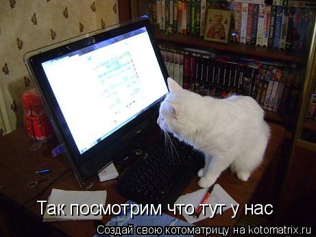 Котоматрица: Так посмотрим что тут у нас