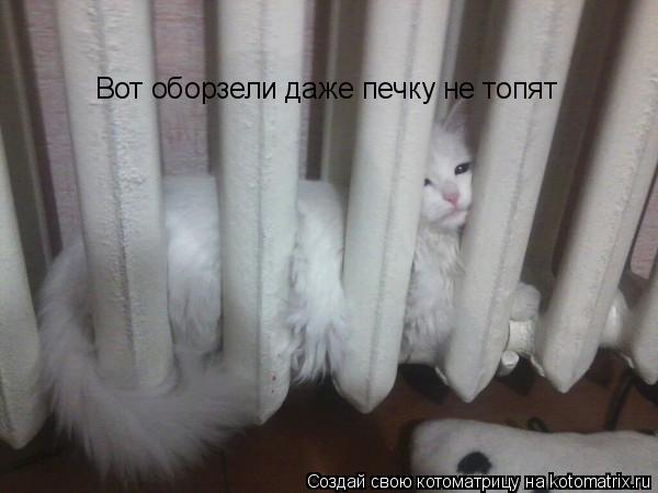 Котоматрица: Вот оборзели даже печку не топят