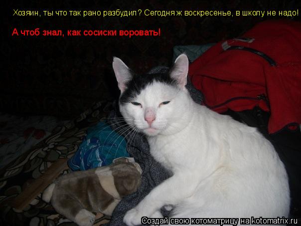 Котоматрица: Хозяин, ты что так рано разбудил? Сегодня ж воскресенье, в школу не надо! А чтоб знал, как сосиски воровать!