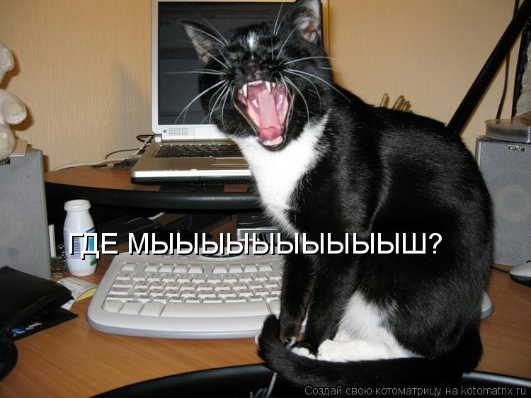 Котоматрица: ГДЕ МЫЫЫЫЫЫЫЫЫЫШ?