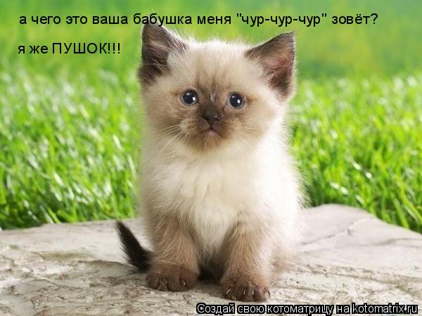 Котоматрица: а чего это ваша бабушка меня "чур-чур-чур" зовёт? я же ПУШОК!!!