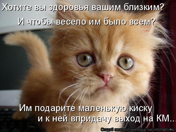 Котоматрица: Хотите вы здоровья вашим близким?  Им подарите маленькую киску и к ней впридачу выход на КМ... И чтобы весело им было всем?