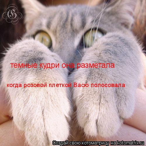 Котоматрица: темные кудри она разметала когда розовой плеткой Васю полосовала