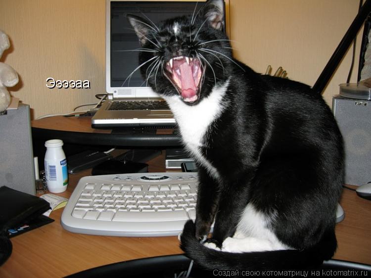 Ээээаа... Котоматрица: Ээээаа