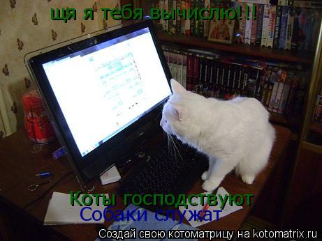 щя я тебя вычислю!!! Коты господствуют Собаки служат... Котоматрица: щя я тебя вычислю!!! Коты господствуют Собаки служат