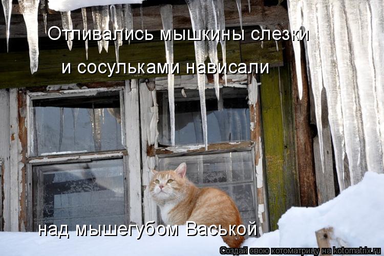 Отливались мышкины слезки и сосульками нависали над мышегубом Васькой... Котоматрица: Отливались мышкины слезки и сосульками нависали над мышегубом Васькой