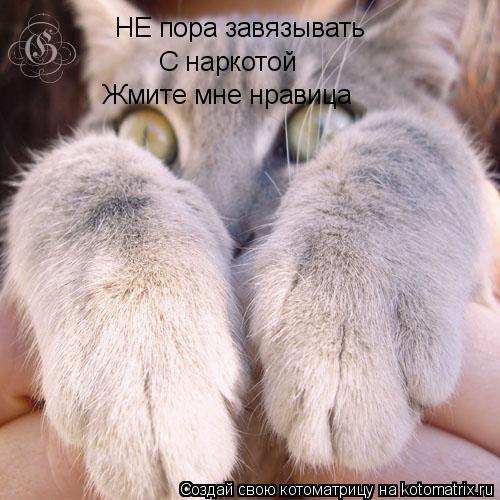 Котоматрица: НЕ пора завязывать С наркотой Жмите мне нравица