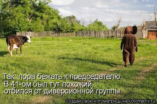 Так, пора бежать к председателю. В 41-ом был тут похожий, отбился от диверсионной группы.... Котоматрица: Так, пора бежать к председателю. В 41-ом был тут похожий, отбился от диверсионной группы.