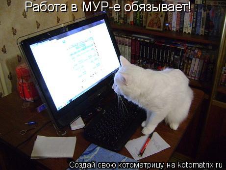 Работа в МУР-е обязывает!... Котоматрица: Работа в МУР-е обязывает!